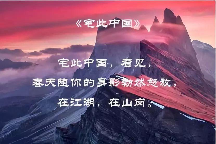 木耳可以用来炒哪些菜？